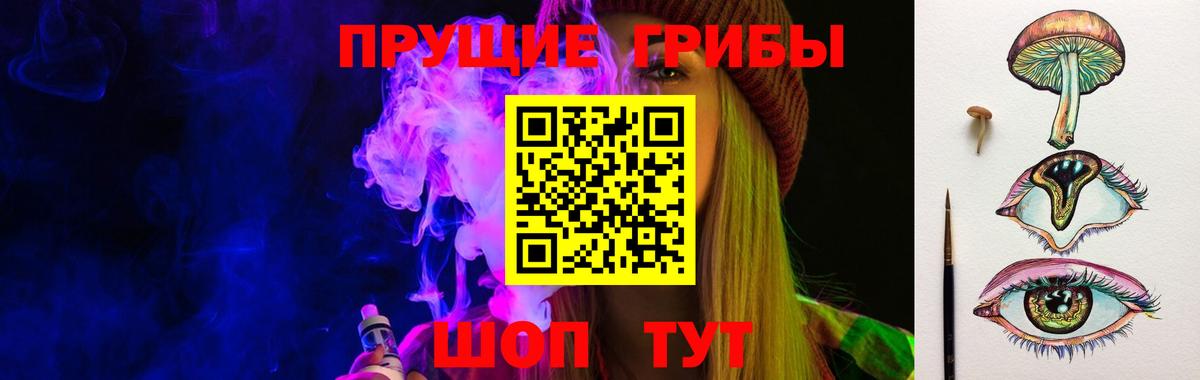 Галлюциногенные грибы Psilocybine cubensis Дагестанские Огни